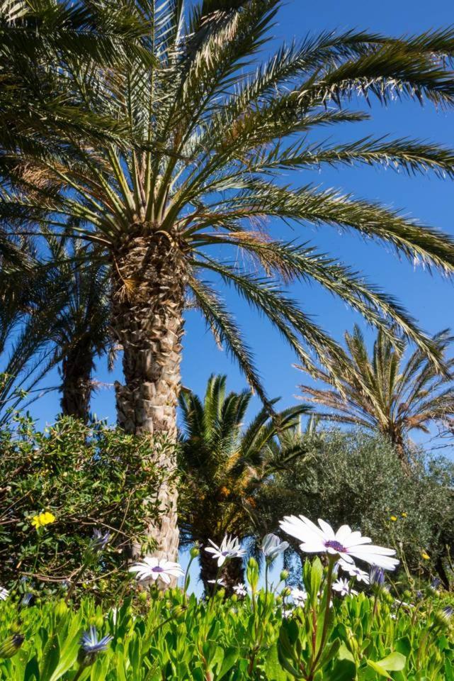 Authentic Cretan Stone Windmill Villa Szitía Kültér fotó