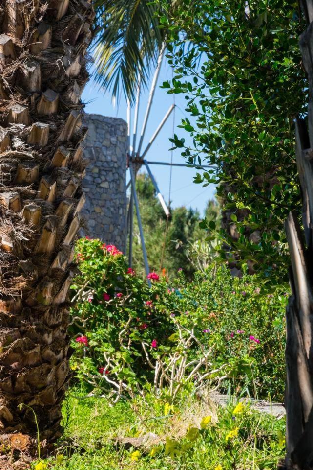 Authentic Cretan Stone Windmill Villa Szitía Kültér fotó